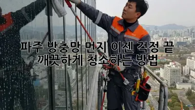 파주 방충망 먼지, 이젠 걱정 끝! 깨끗하게 청소하는 방법