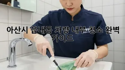 아산시 읍내동 차량 내부 청소 완벽 가이드